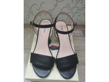 �. 38, 800 ���.