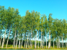 20210627 ��ͣ������� ���� 5 064136.jpg