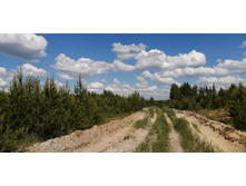 IMG 20210606 113837.jpg