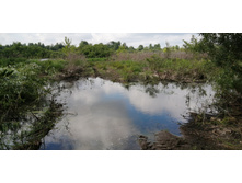 IMG 20210629 083147.jpg