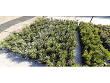 ����������� viber 2021-06-02 13-12-51.jpg