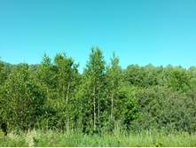 20210619 ��� ������ ����� 083037.jpg