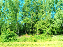 20210619 ��� ������ ����� 091034.jpg