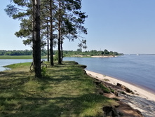 IMG 20210620 140037.jpg