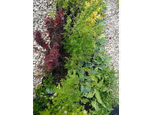 ����������� viber 2021-06-09 16-46-18.jpg