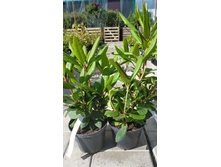 ����������� viber 2021-06-03 10-05-37.jpg