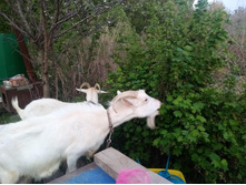 IMG 20210515 195850 — �����.jpg