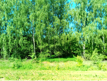 20210619 ��� ������ ����� 091039.jpg