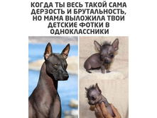 IMG 20210618 104819.jpg