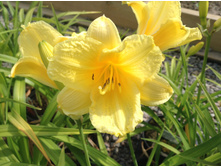 �������� �������� ������.jpg