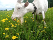 IMG 20210521 122718 — �����.jpg