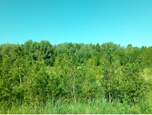 20210619 ��� ������ ����� 083045.jpg