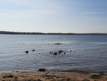 20201004 183103.jpg