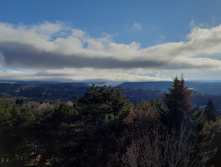 20201205 140824.jpg