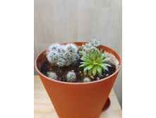 ���������� 500�.