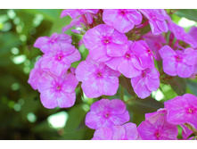 ����� ����������� ����� ����.jpg