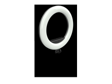 ��� �����2.png