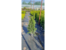 ����������� viber 2021-06-02 13-16-02.jpg