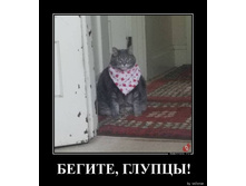 ������, ������!