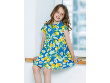 ������ � �������� �������, (�����) (���������, �������)