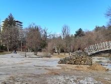 20201205 124251.jpg
