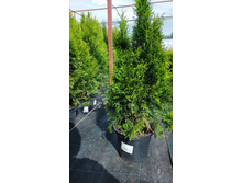 ����������� viber 2021-06-02 13-16-51.jpg