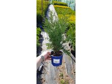 ����������� viber 2021-06-02 13-15-40.jpg