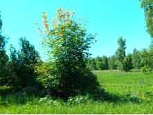 20210619 ��� ������ ����� 101004.jpg