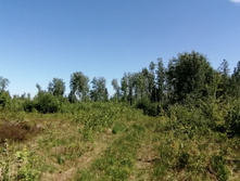 IMG 20210605 103520.jpg