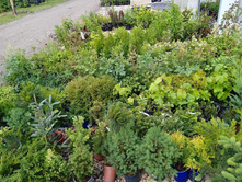 ����������� viber 2021-06-09 16-48-18.jpg