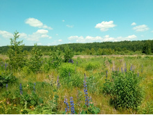 20210620 �� ������-������� 122815.jpg