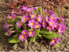 ������� ������ � ������.jpg