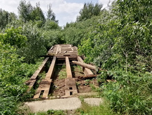 IMG 20210629 115247.jpg