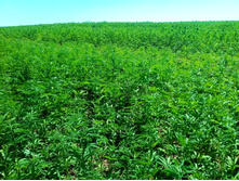 20210619 ��� ������ ����� 104253.jpg