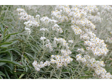 �������� ���������.jpg