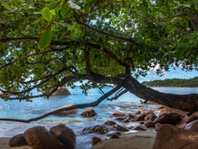 Seychelles099.jpg