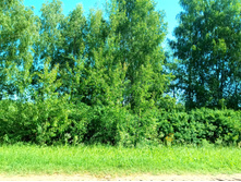 20210619 ��� ������ ����� 100854.jpg