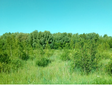 20210619 ��� ������ ����� 083047.jpg