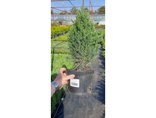 ����������� viber 2021-06-02 13-16-35.jpg