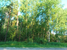 20210627 ��ͣ������� ���� 5 063617.jpg