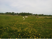 IMG 20210523 131417 — �����.jpg