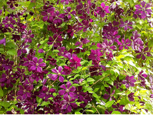 �������� �������������� Sodertalje ���������.jpg