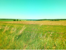 20210619 ��� ������ ����� 110929.jpg