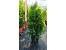 ����������� viber 2021-06-02 13-17-18.jpg