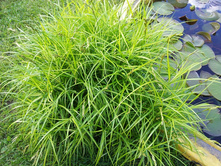 ����� �������������.jpg