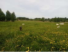 IMG 20210523 131420 — �����.jpg