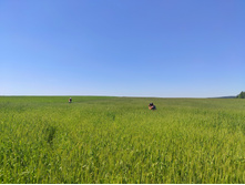 IMG 20210619 104830-01.jpeg