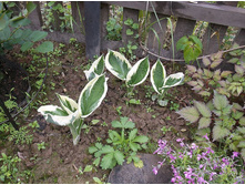 ����� �������