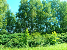 20210619 ��� ������ ����� 100857.jpg