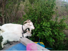 IMG 20210515 195843 — �����.jpg